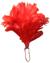 UK Black Watch Red Feather hackles